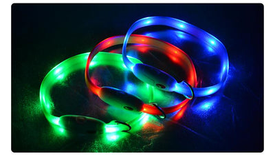 Collar Luminoso para Perros - Prevención de Pérdida - Image 13