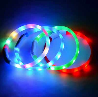 Collar Luminoso para Perros - Prevención de Pérdida - Image 14
