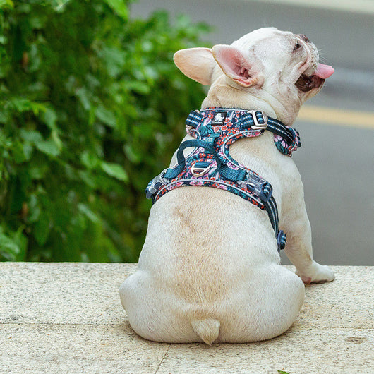 Arnés Chaleco para Pasear Perros con Correa Integrada - Image 15