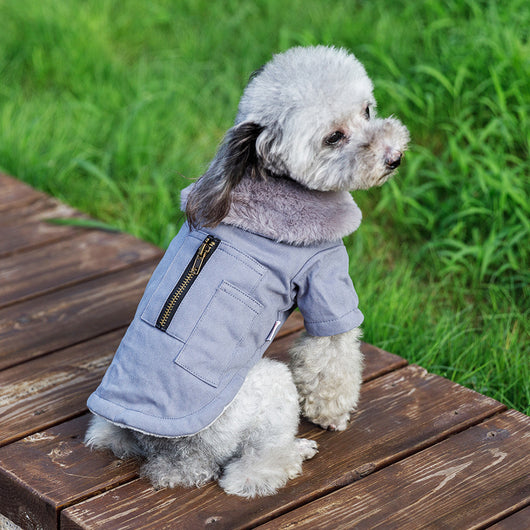 Chaleco Térmico para Mascotas - Abrigo Grueso para Otoño e Invierno - Image 46
