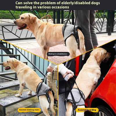 Arnés de Apoyo para Perros Mayores - Sistema de Carga Dorsal - Image 8