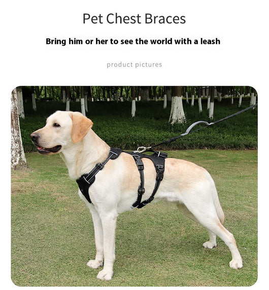 Arnés de Pecho Antiescape para Perros Grandes con Cuerda de Tela Oxford - Image 13
