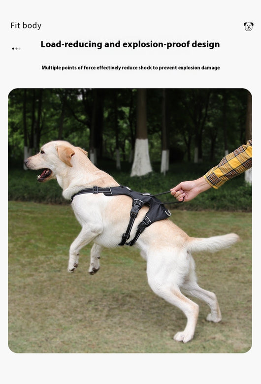 Arnés de Pecho Antiescape para Perros Grandes con Cuerda de Tela Oxford - Image 19