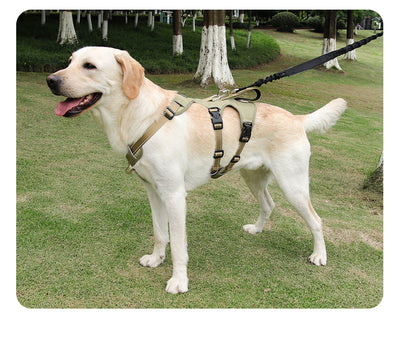 Arnés de Pecho Antiescape para Perros Grandes con Cuerda de Tela Oxford - Image 21