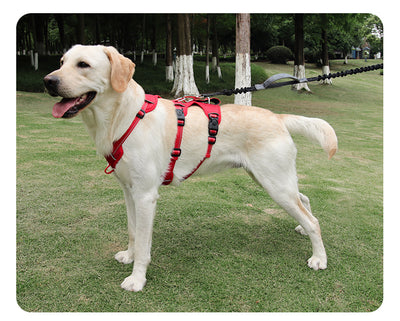 Arnés de Pecho Antiescape para Perros Grandes con Cuerda de Tela Oxford - Image 22