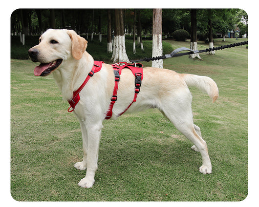 Arnés de Pecho Antiescape para Perros Grandes con Cuerda de Tela Oxford - Image 22