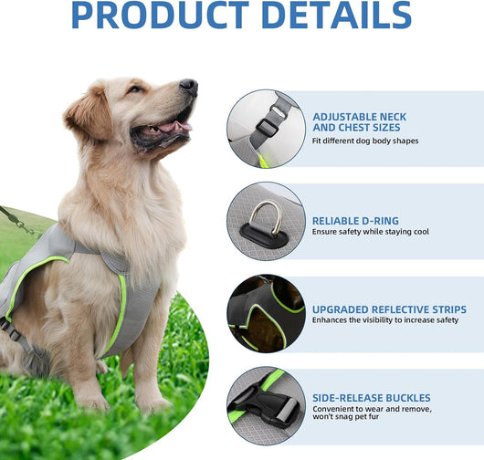 Chaleco Refrigerante para Perros con Paquetes de Hielo - Protección Fresca en Verano - Image 9