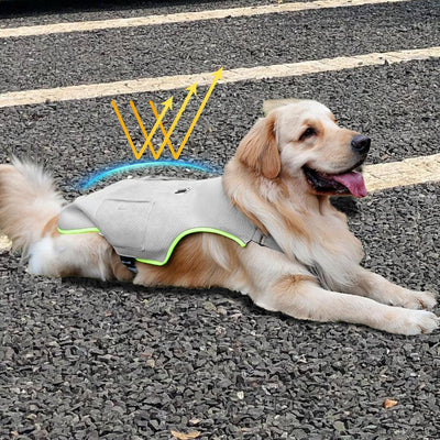Chaleco Refrigerante para Perros con Paquetes de Hielo - Protección Fresca en Verano - Image 13