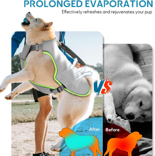 Chaleco Refrigerante para Perros con Paquetes de Hielo - Protección Fresca en Verano - Image 14