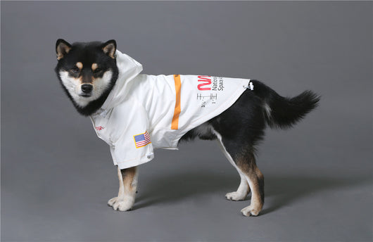 Impermeable Reflectante para Mascotas con Tecnología Espacial Antiwind - Image 8
