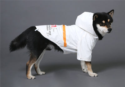 Impermeable Reflectante para Mascotas con Tecnología Espacial Antiwind - Image 9