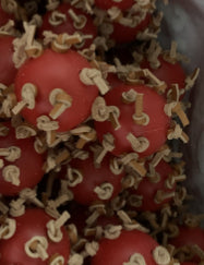 Red plastic interactive chewing ball with brown leather rope knots, next to a green parrot. - Image 11