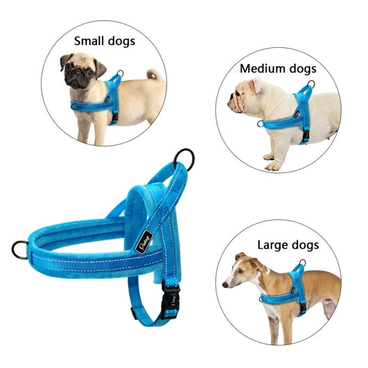 Arnés Anti-Tracción para Perros Grandes con Correa Acolchada - Image 11