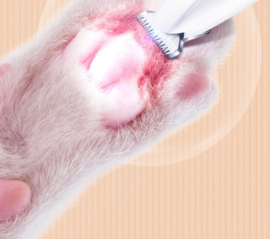 Cortauñas para Perros con Luz LED y Pantalla Digital - Resistente al Agua - Image 18