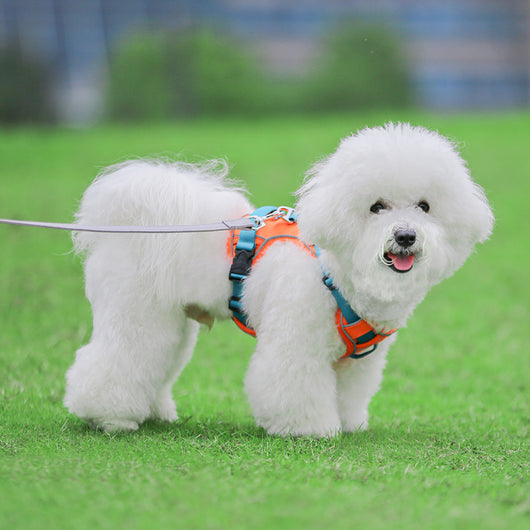 Arnés Pectoral Anti Deslizante para Mascotas Grandes con Cuerda de Tracción - Image 50