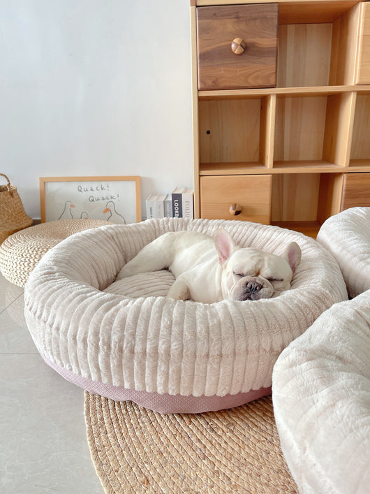 Cama Térmica Acogedora para Mascotas - Descanso Profundo y Confort - Image 26