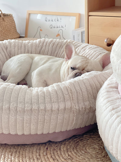 Cama Térmica Acogedora para Mascotas - Descanso Profundo y Confort - Image 27