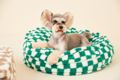 Casa Desmontable y Lavable para Perros - Uso Todo Clima - Image 22