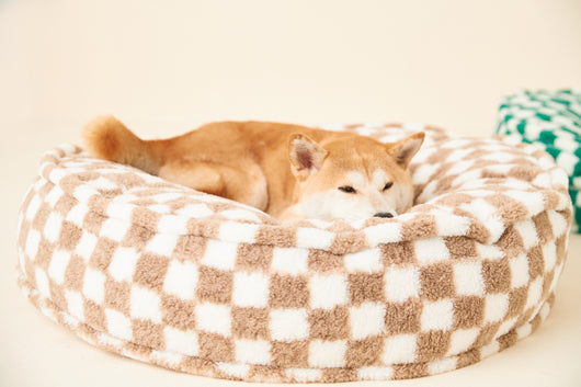 Casa Desmontable y Lavable para Perros - Uso Todo Clima - Image 23
