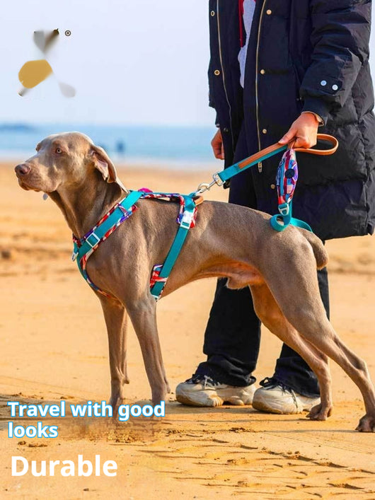 Arnés de Pecho para Perros Medianos y Grandes - Resistente al Calor Veraniego - Image 12
