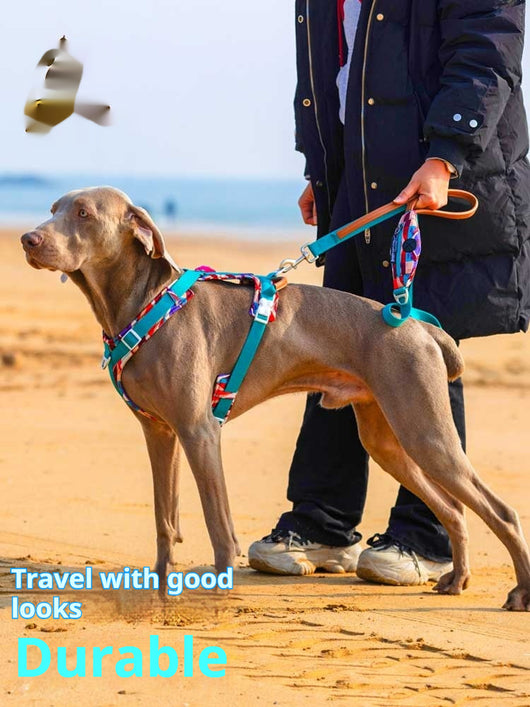 Arnés de Pecho para Perros Medianos y Grandes - Resistente al Calor Veraniego - Image 13