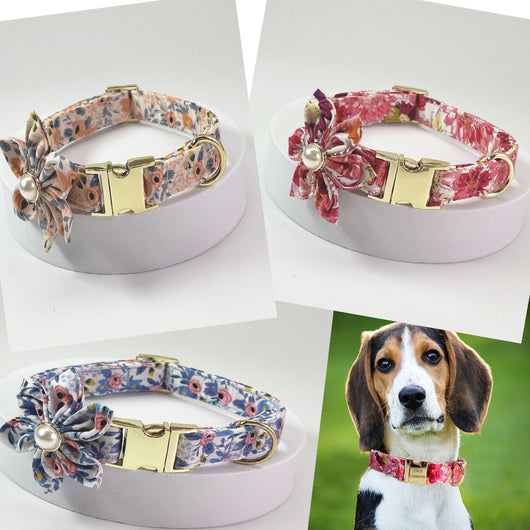 Collar Correa para Perro Mediano y Grande con Letras Personalizadas y Diseño Floral Metálico - Image 19
