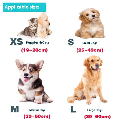 Correa para Perro con Grabado Personalizado y Collar Antiextravío - Image 18