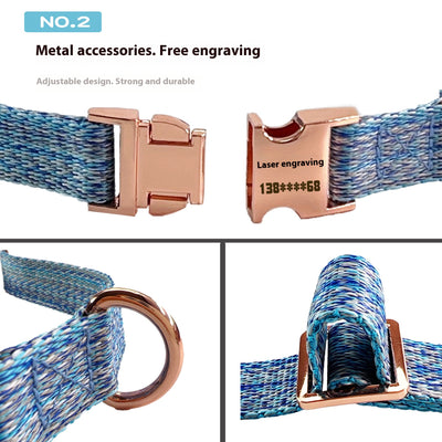 Correa para Perro con Grabado Personalizado y Collar Antiextravío - Image 19