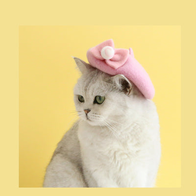 Gorro de Lana Artesanal para Gatos Pintor Pequeño - Image 23