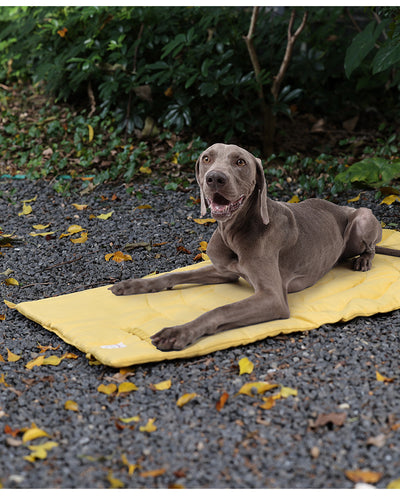 Colchoneta Térmica Plegable e Impermeable para Mascotas - Image 13