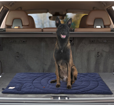 Colchoneta Térmica Plegable e Impermeable para Mascotas - Image 15