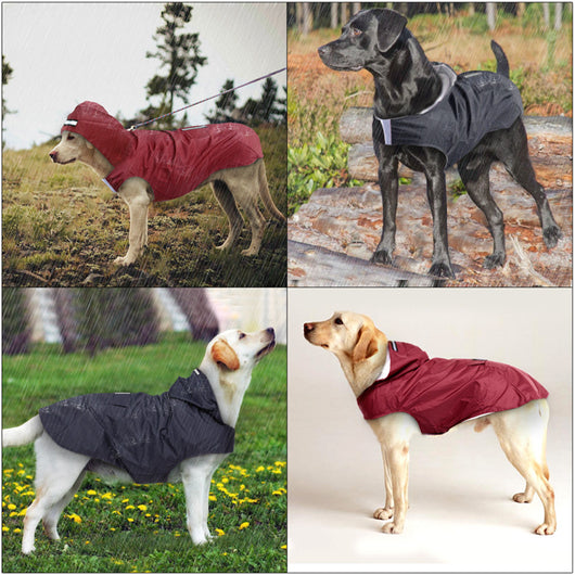 Impermeable Reflectante para Perros Grandes - Abrigo Integral Resistente al Agua - Image 13