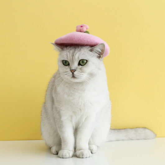 Sombrero Floral de Lana Cardada para Mascotas - Image 23
