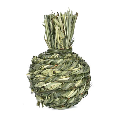 Juguetes Masticables de Pasto Timothy para Conejos, Conejillos de Indias y Roedores - Image 17