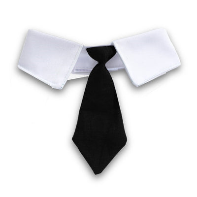Boina y Corbata para Gato - Accesorios Fotográficos de Estilo Gentleman - Image 11