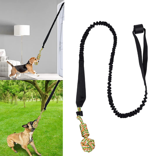 Grey elastic dog tug-of-war rope with two colorful knotted cotton rope ends and a black suction cup. - Image 17