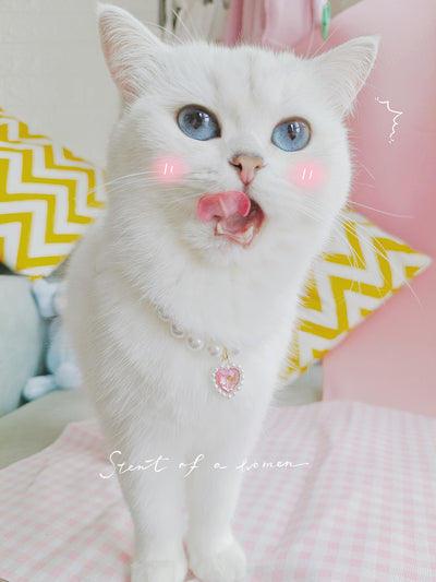 Collar de Cuentas para Gatos Amor y Conexión - Image 37
