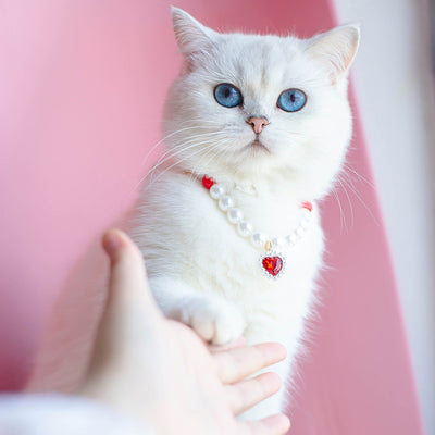 Collar de Cuentas para Gatos Amor y Conexión - Image 41