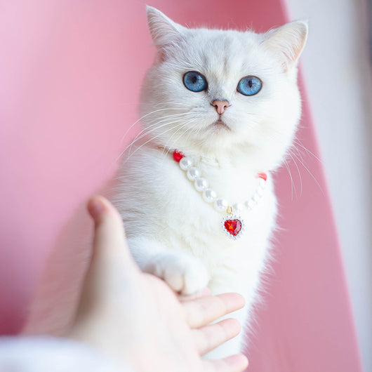 Collar de Cuentas para Gatos Amor y Conexión - Image 41