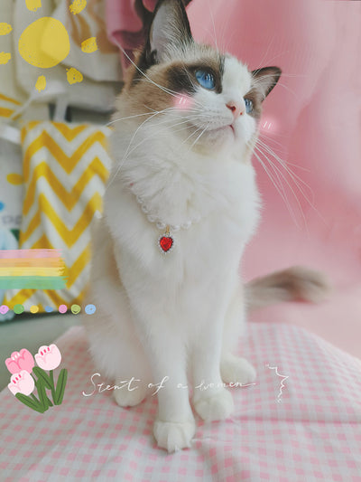 Collar de Cuentas para Gatos Amor y Conexión - Image 42