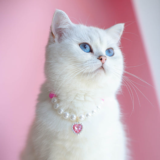 Collar de Cuentas para Gatos Amor y Conexión - Image 44