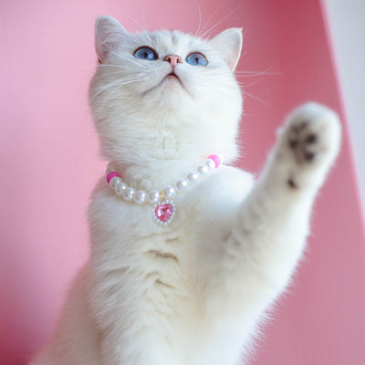 Collar de Cuentas para Gatos Amor y Conexión - Image 46