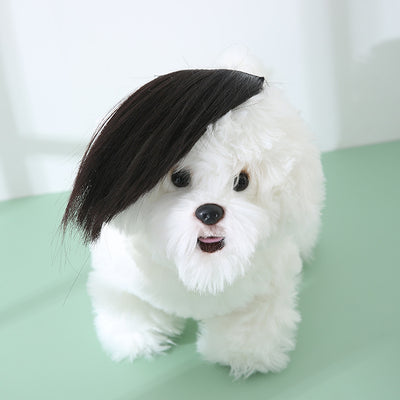 Peluca Zorro para Gatos - Disfraz Divertido para Mascotas - Image 16