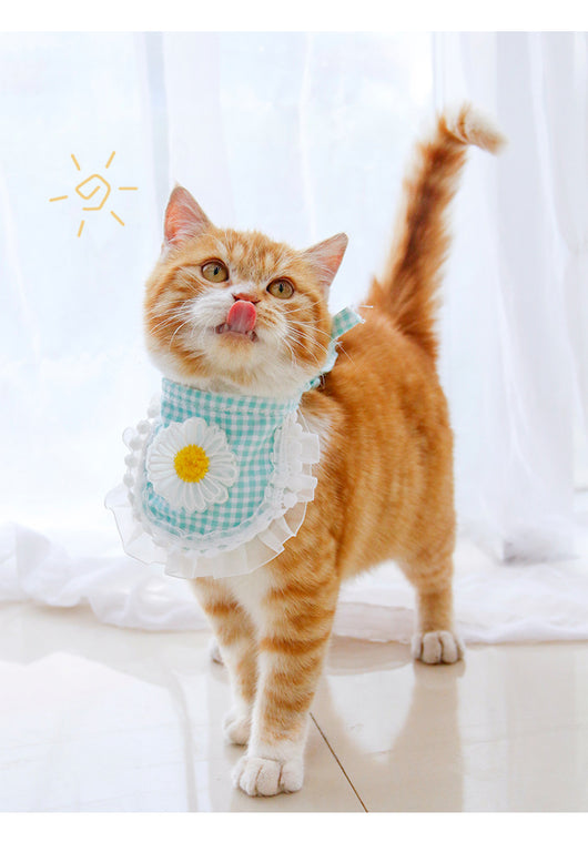 Toalla Absorbente de Microfibra para Mascotas - Image 16