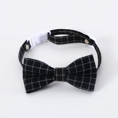 Diadema y Moño Graduado para Mascotas - Diseño Profesional - Image 18