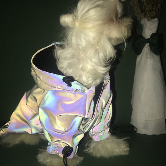 Sudadera Impermeable para Perros con Reflectantes y Protección Térmica - Image 11