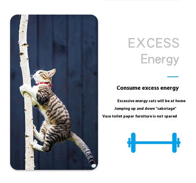 Juguete Interactivo para Gatos - Cepillo Eléctrico Saltarín Nano - Image 21