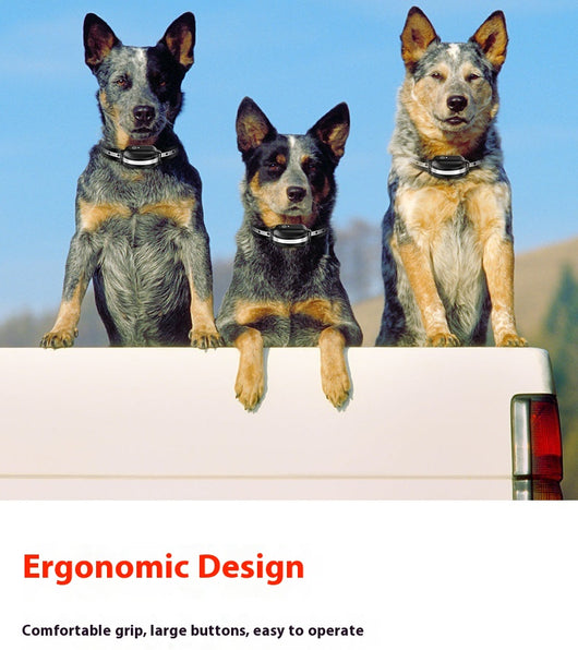 Collar Adiestramiento Canino con Control Remoto Anti-ladridos - Image 16