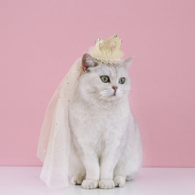 Corona Princesa para Gatos y Mascotas - Accesorio de Fiesta Elegante - Image 23
