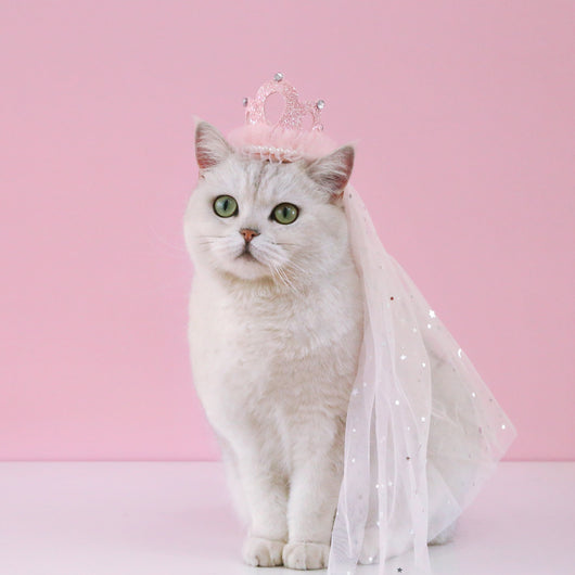 Corona Princesa para Gatos y Mascotas - Accesorio de Fiesta Elegante - Image 26